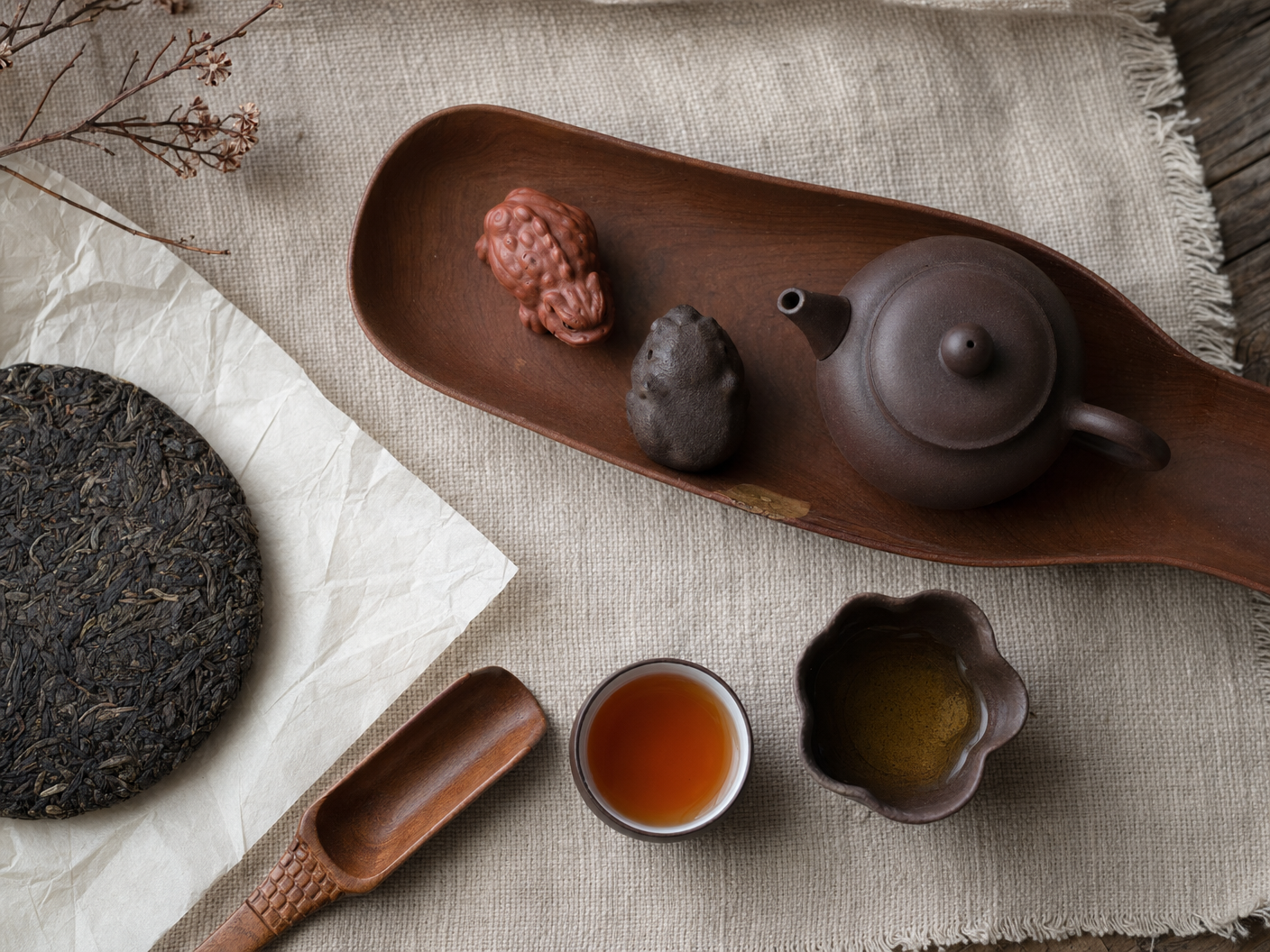 茶藝課程 企業 Team Building 活動｜魚菜共生 體驗｜FlintHub Academy 香港